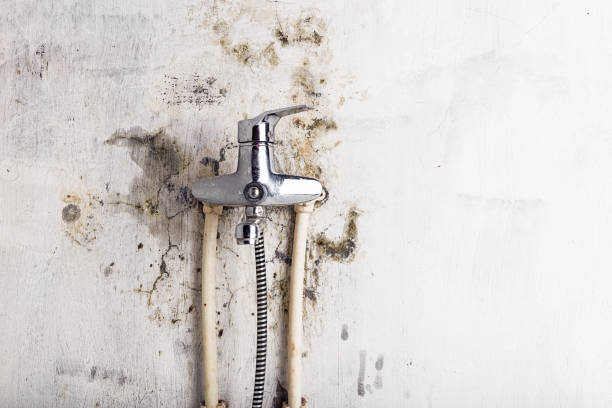 Best Black Mold Removal  in Stone Mountain, GA