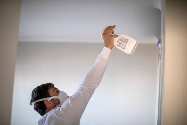 Best Commercial Mold Removal  in Stone Mountain, GA