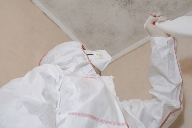 Best Commercial Mold Removal  in Stone Mountain, GA